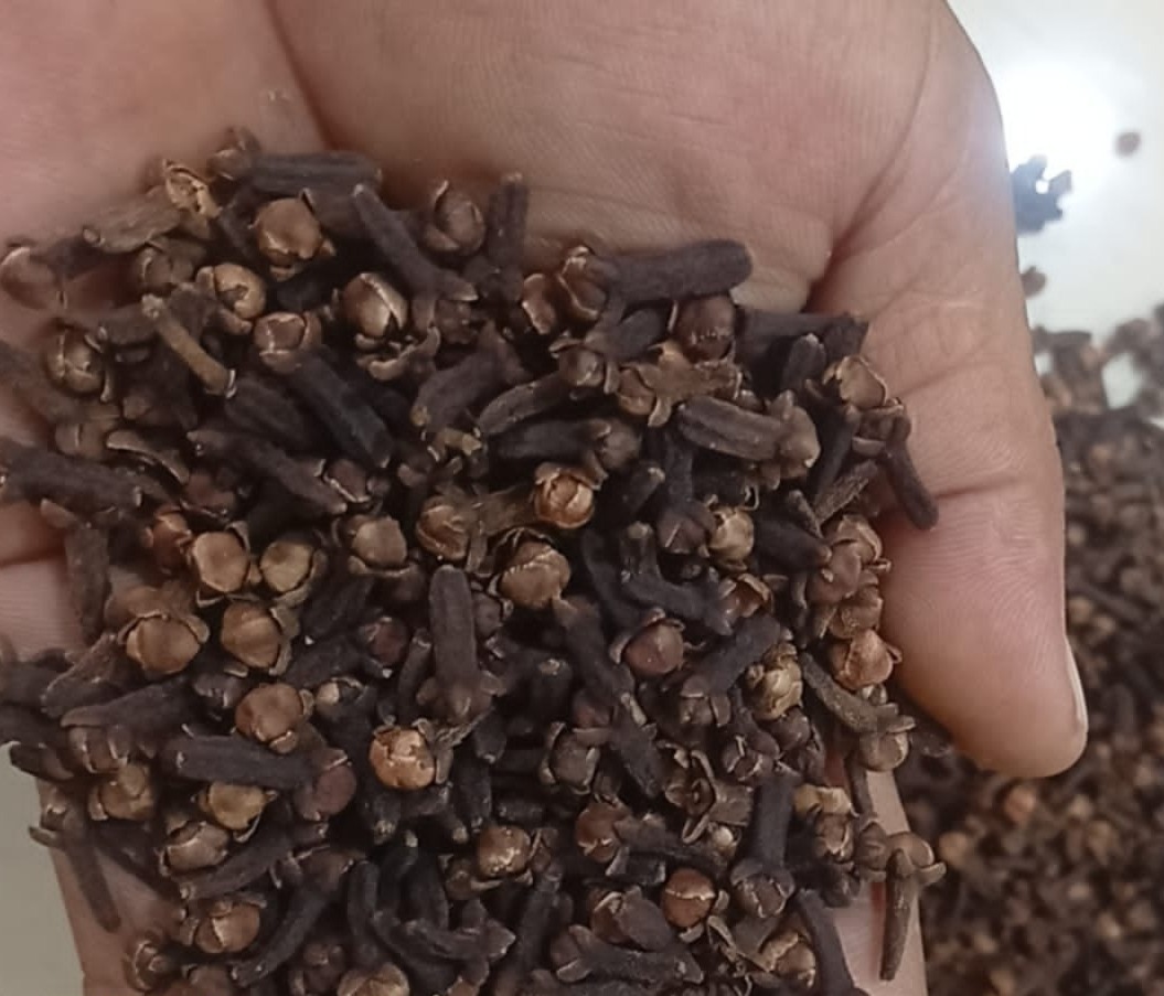 clove